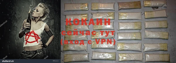дурь Алексин