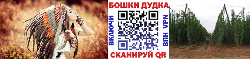 Конопля планчик  Тосно 